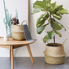 New Household Foldable Natural Seagrass Woven Storage Pot Garden Flower Vase Hanging Basket With Handle Storage Bellied Basket